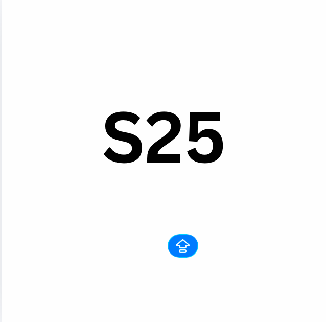 S25